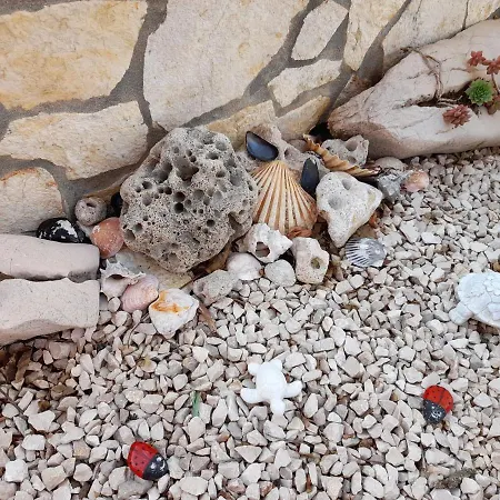 Seashell