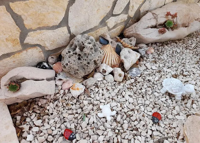 Seashell