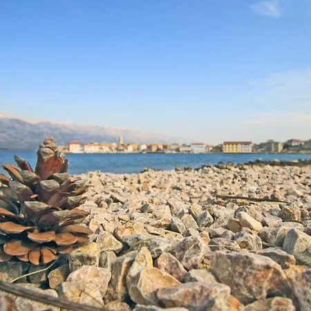 Seashell Apartman *