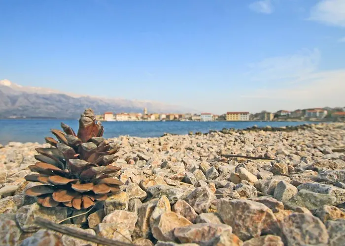 Seashell Apartamento *